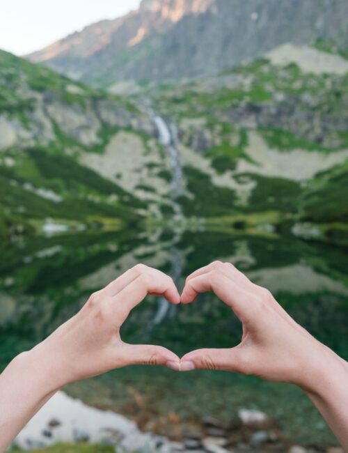 nATURE LOVER - a view from top with human hand heart gesture_Solis Giroux